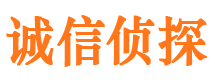 点军捉小三公司